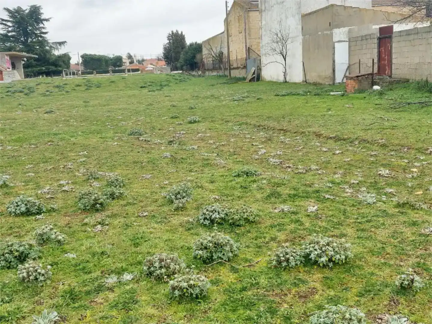 Finca rústica en venda en Rollo - Puente Ladrillo