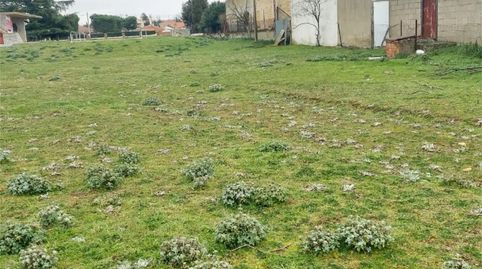 Foto 2 de Finca rústica en venda a Camino Estrecho de la Aldehuela, 262, Rollo - Puente Ladrillo, Salamanca Capital