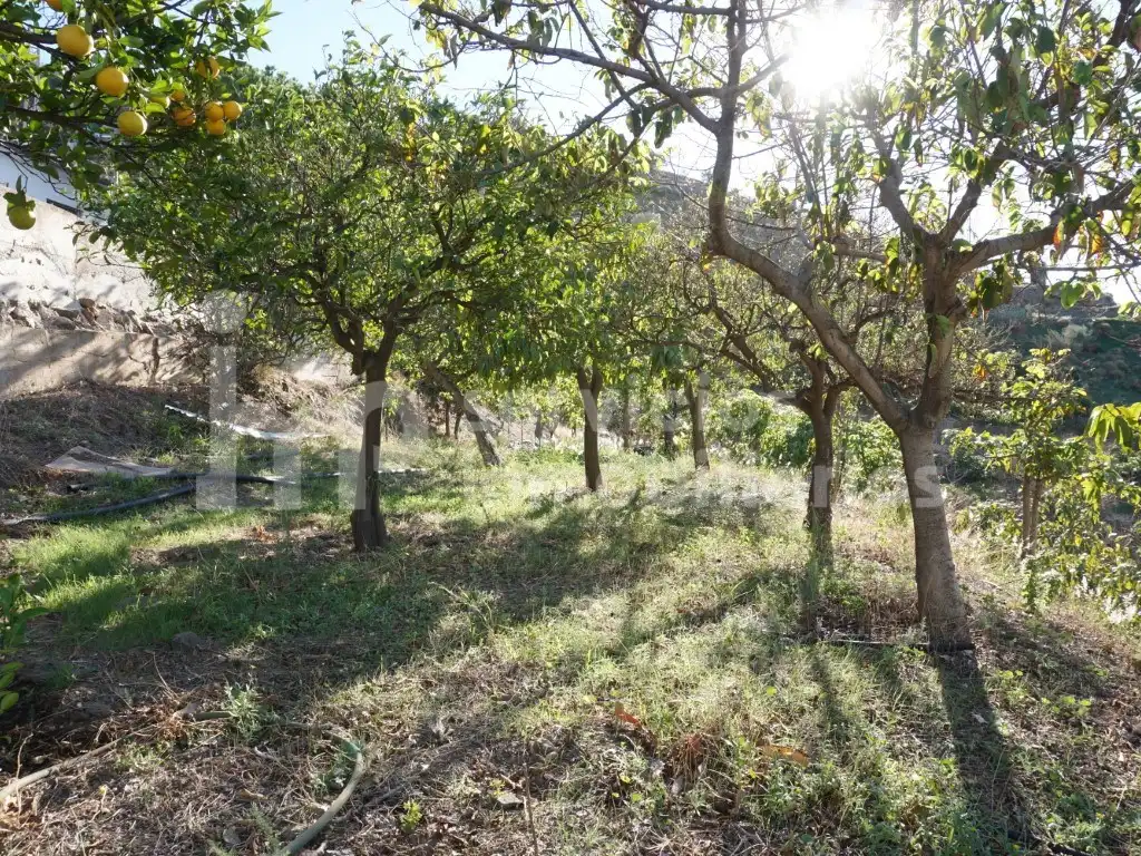 Casa o chalet en venta en Urbanizacion Eucaliptos Los, Centro Histórico