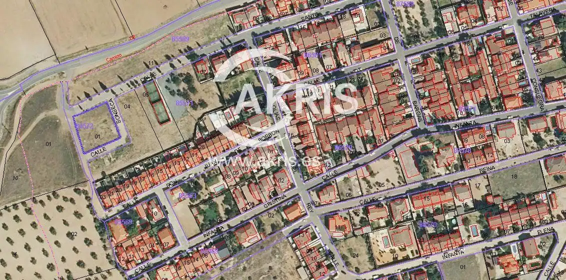 Terreno rustico in vendita a Calle Santo Domingo de Guzmán, imagen 3