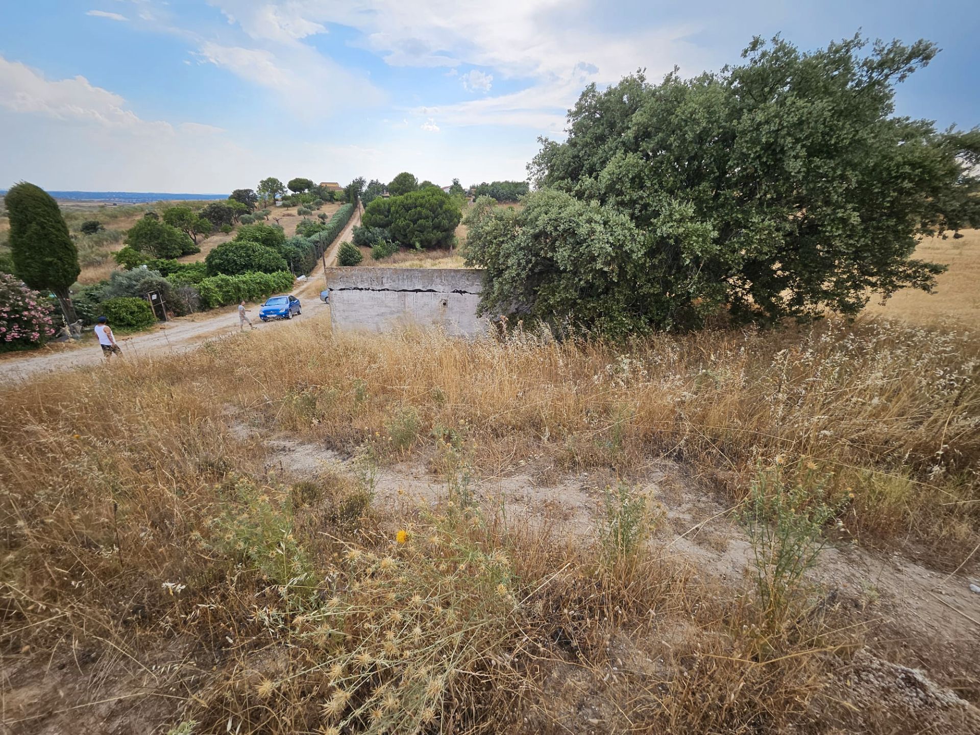 Terreno en venta en El Molar (Madrid)