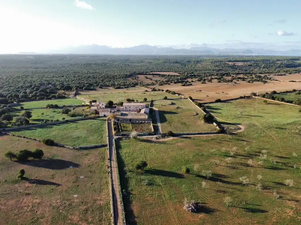 Finca rústica en venta en Santa Margalida