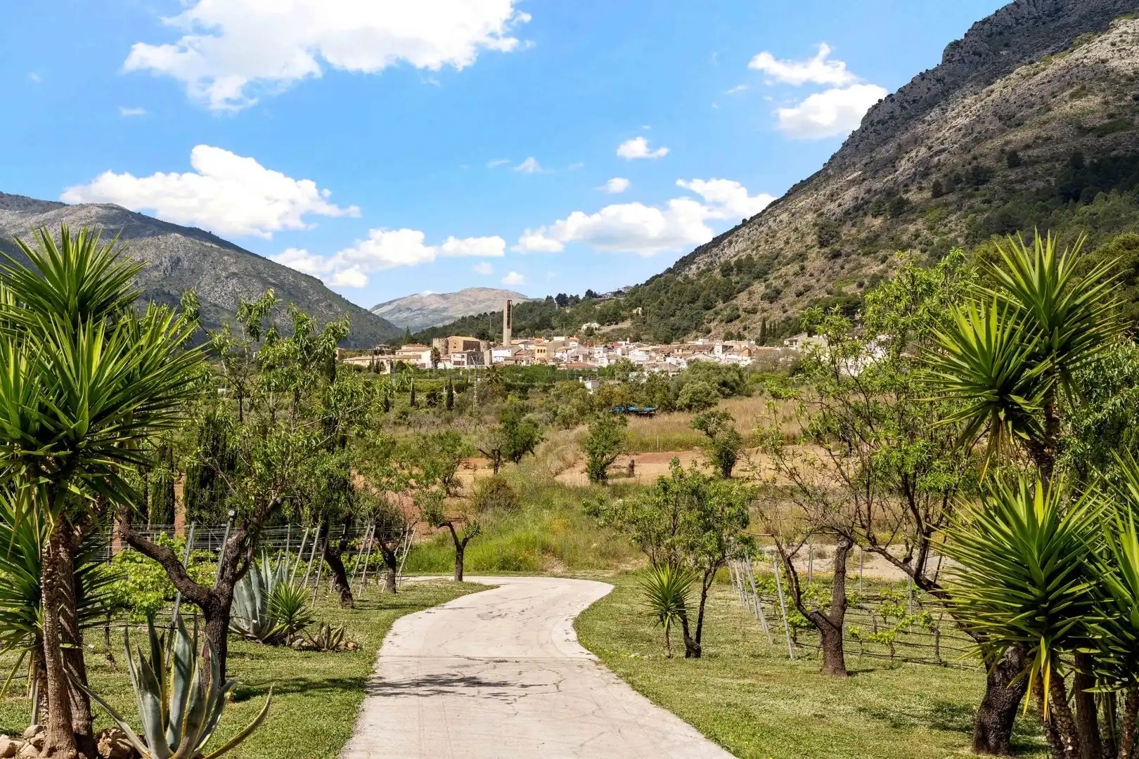 Casa con piscina en venta en Murla, imagen 55