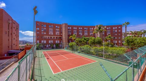 Foto 2 de Piso de alquiler en Calle Concejal García Feo, Altavista - Don Zoilo, Las Palmas de Gran Canaria
