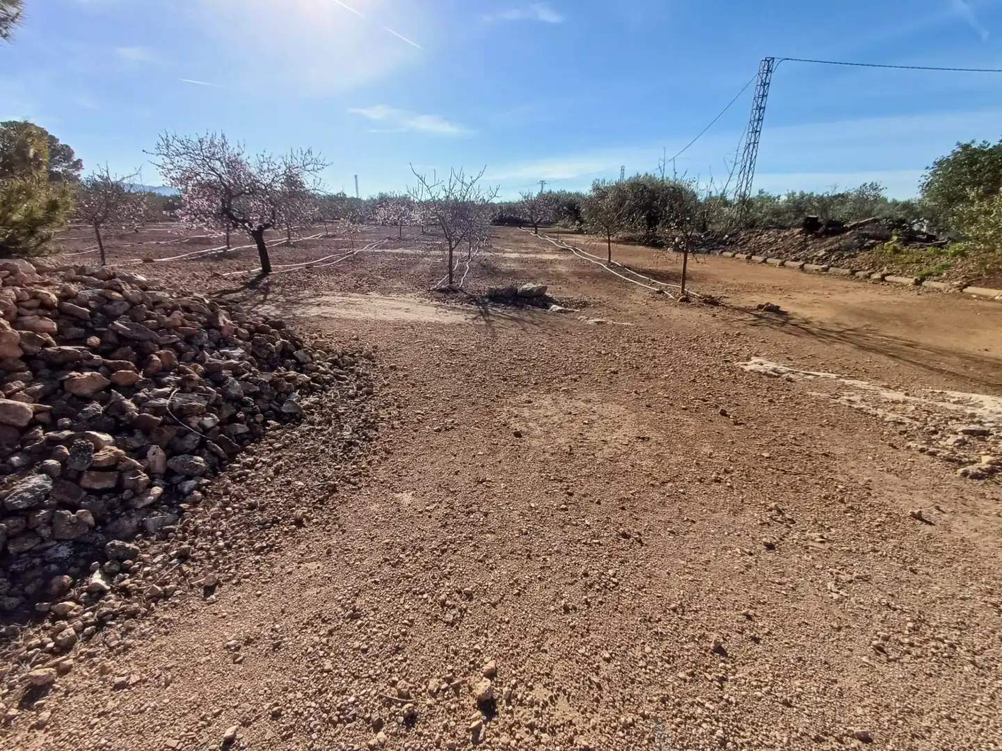 Land for sale in Aldover