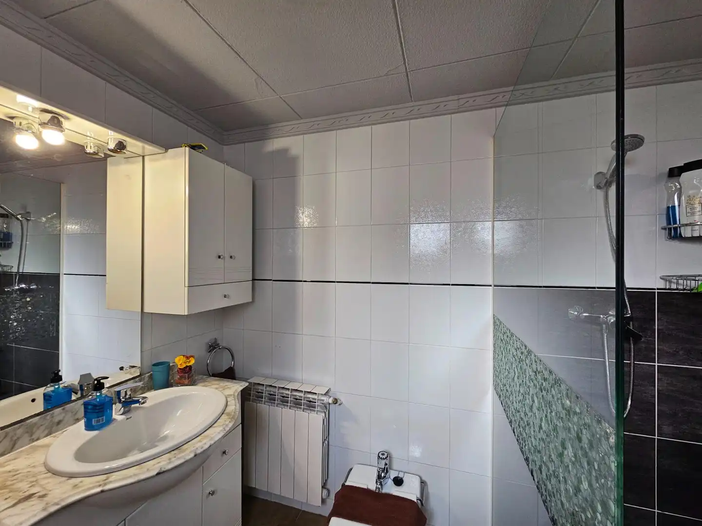Baño de Casa o chalet en venta en Canovelles
