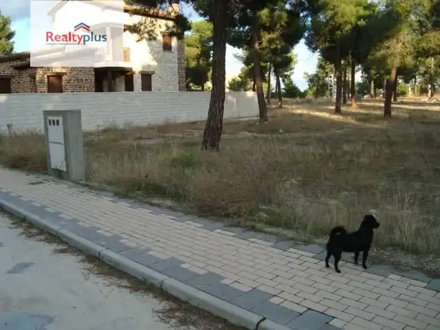 Terreni e lotti in vendita a Arévalo, imagen 8
