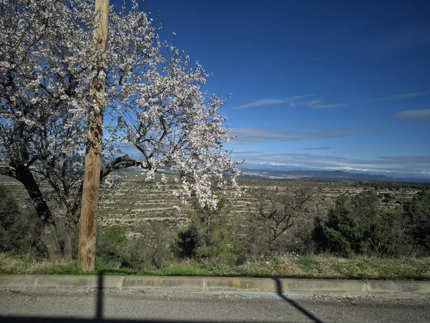 Residential land for sale in de la Llebre 19A
