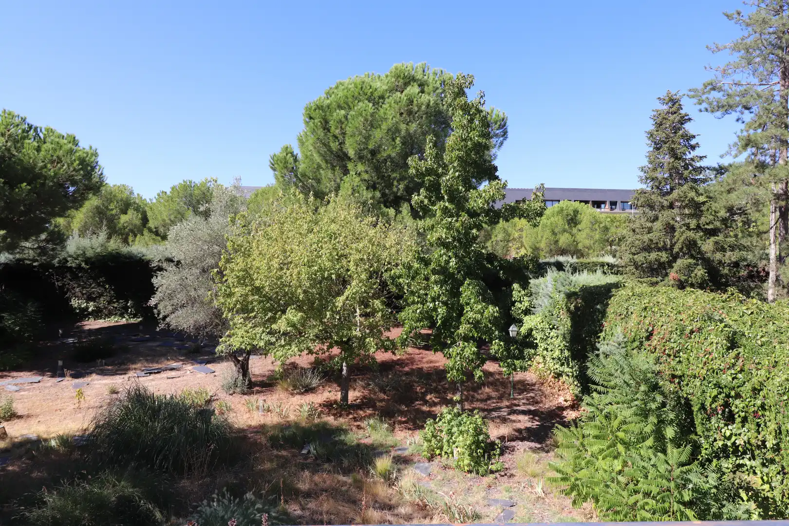 Xalet amb jardí en venda a Paseo Polifemo, imagen 19