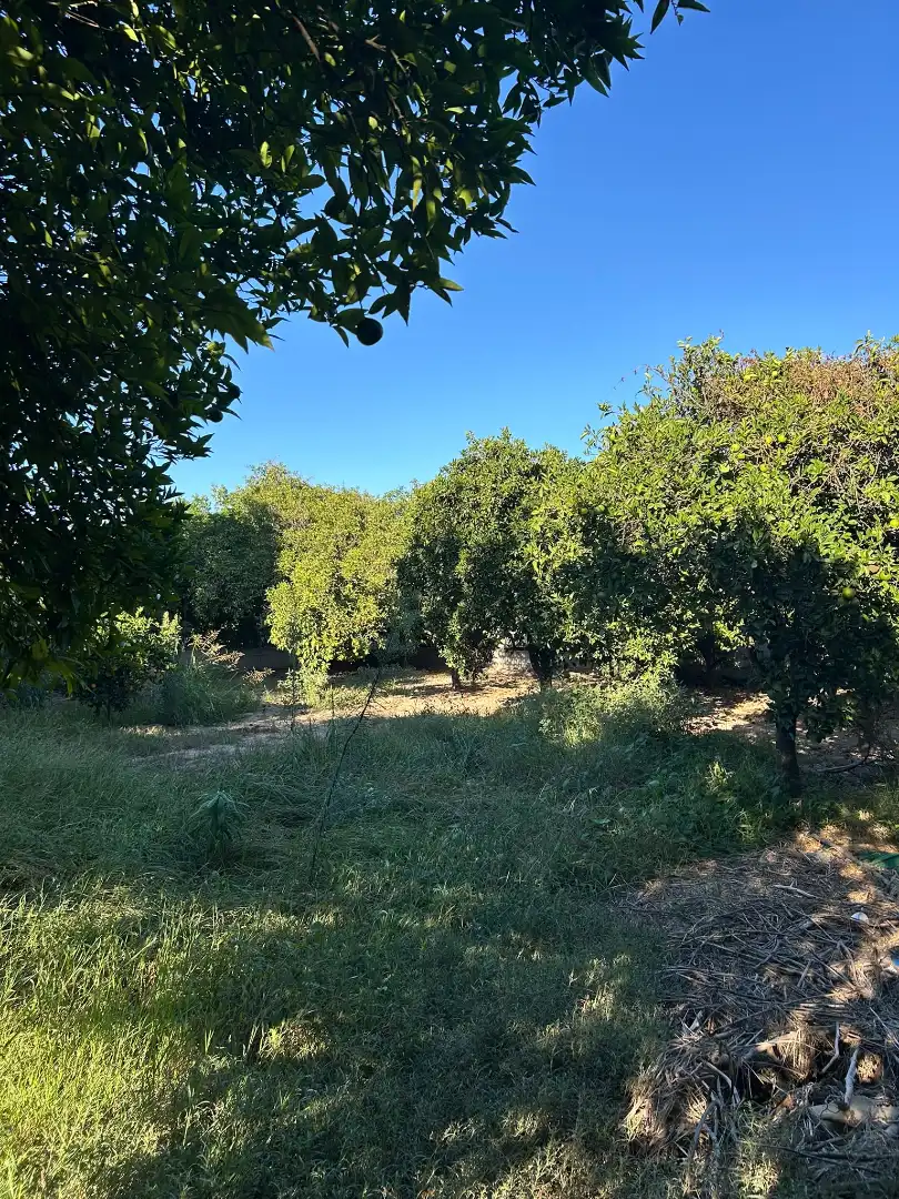 Xalet amb terrassa en venda a Pedanías Oeste, imagen 16