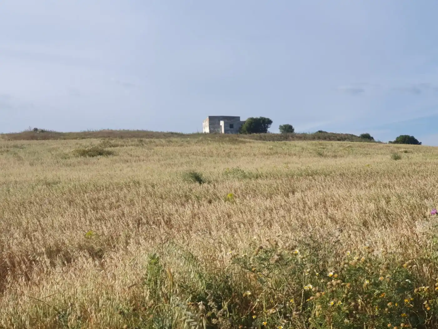 Terrenys i solars en venda a Medina Sidonia, imagen 6