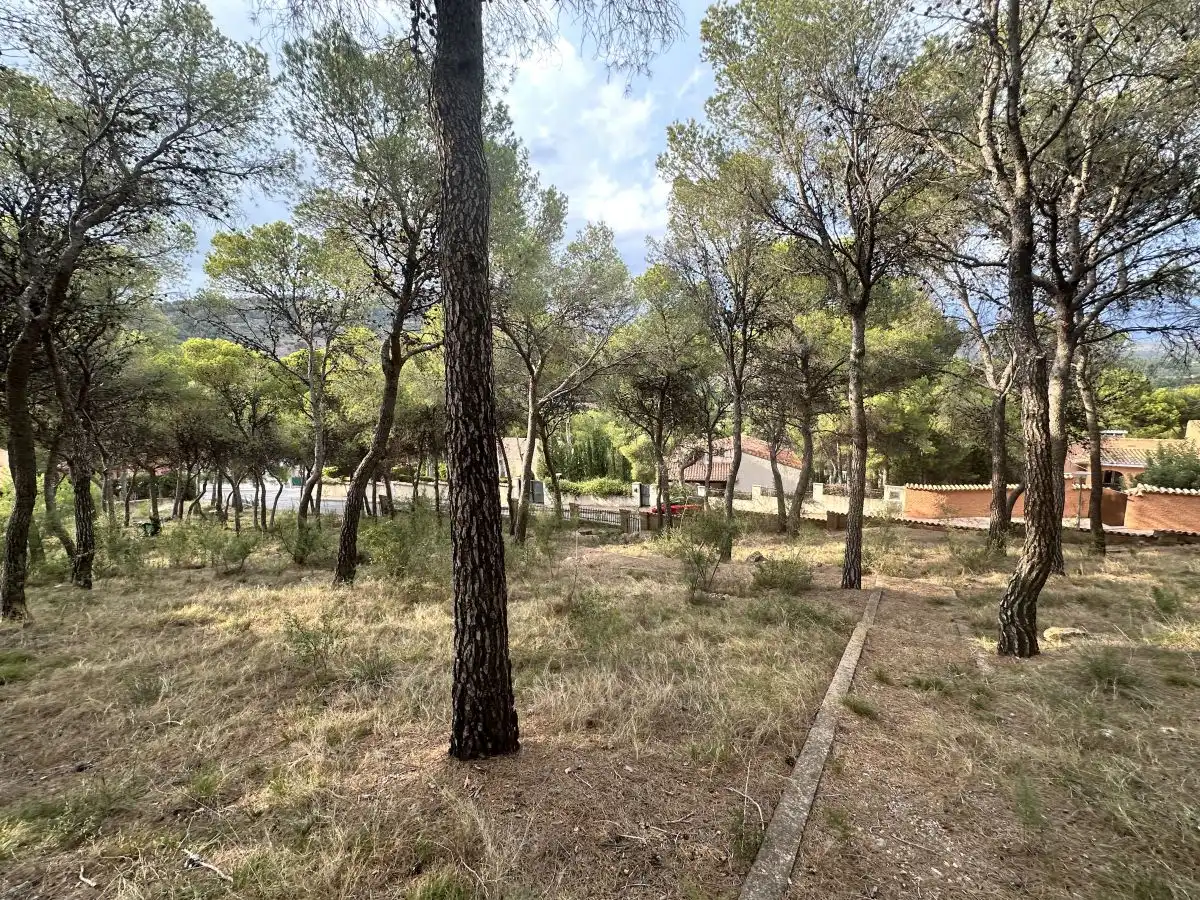 Wohnbaugrundstück zum Verkauf in Torres Torres, imagen 51