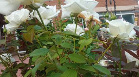 Foto 4 de Casa o xalet en venda a El Pont de Vilomara i Rocafort, Barcelona