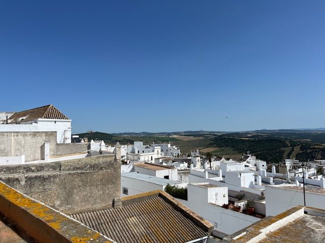Vista exterior de Finca rústica en venda en Vejer de la Frontera amb Terrassa, Moblat i Balcó