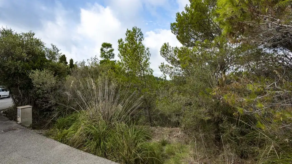 Rural land for sale in Puigpunyent, imagen 2