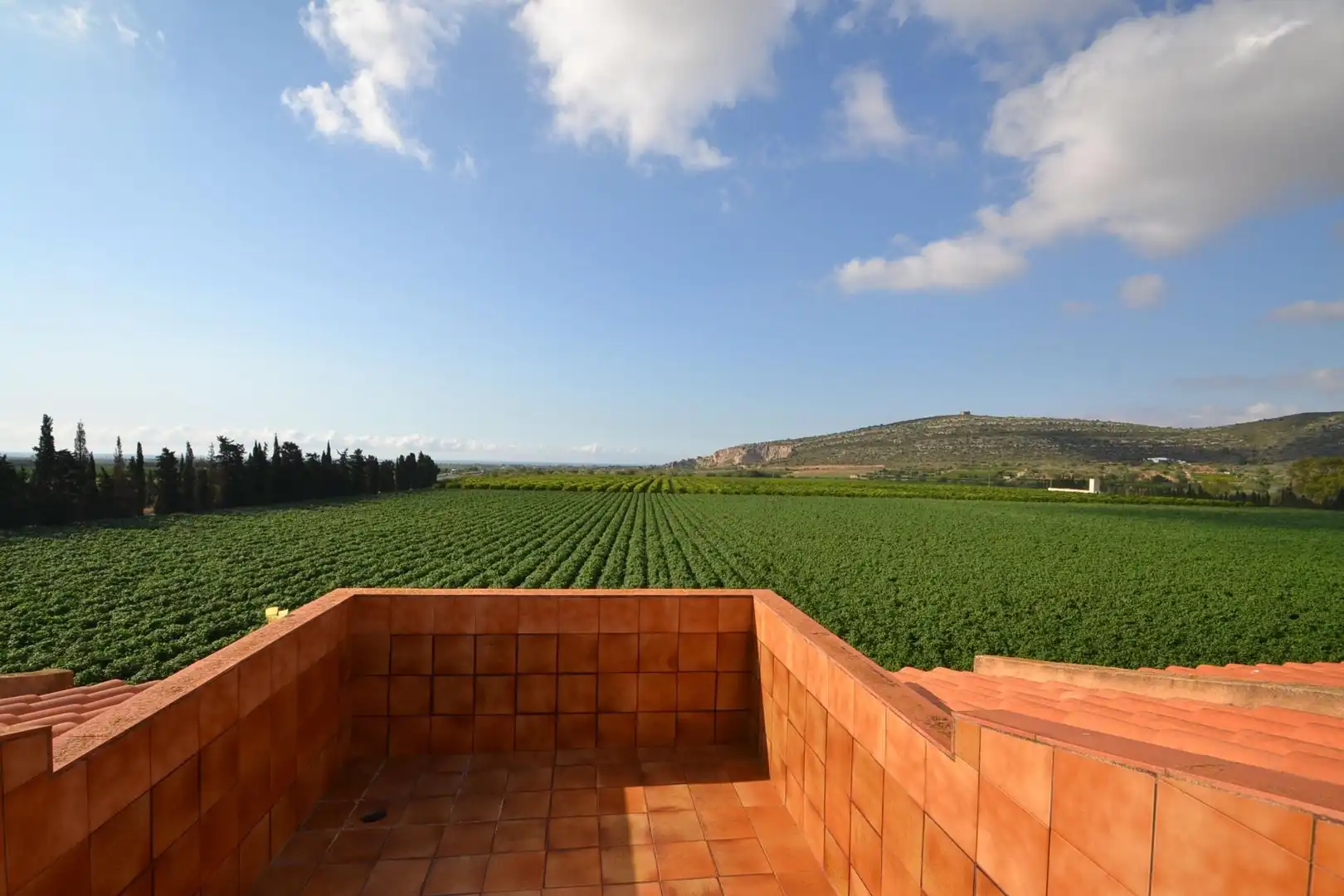Country house with pool for sale in Partidas de interior - Zona Rústica, imagen 39