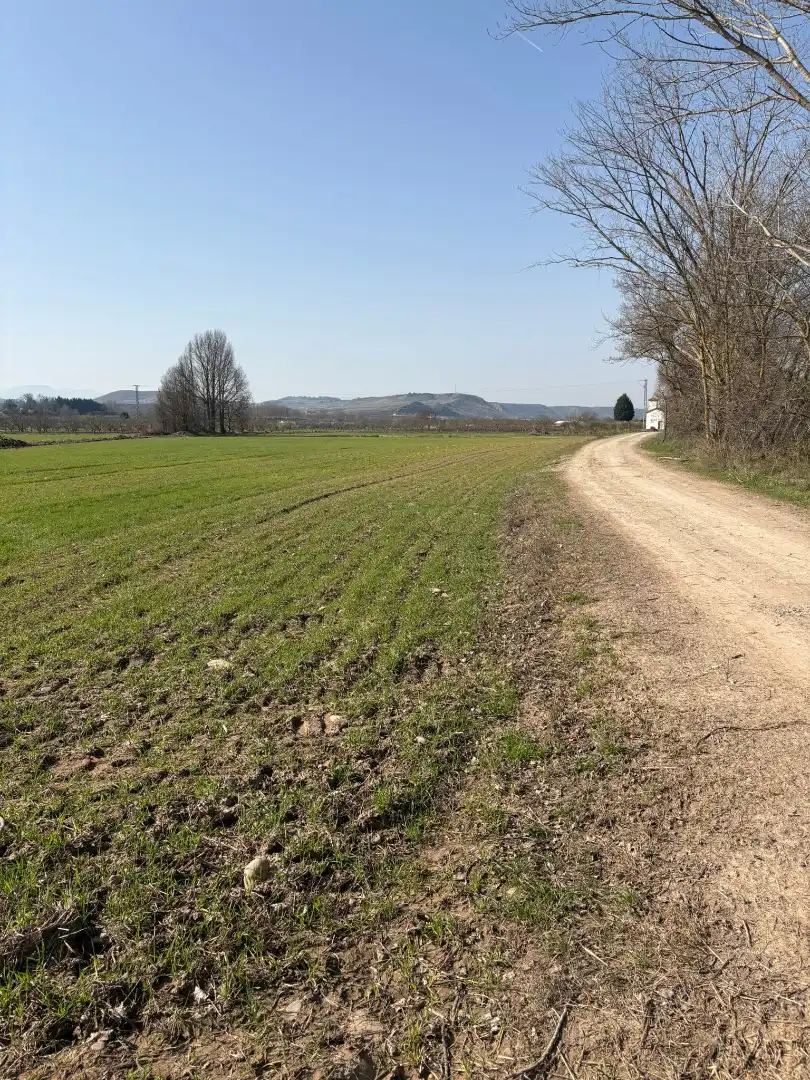 Rural land for sale in Agoncillo, imagen 8