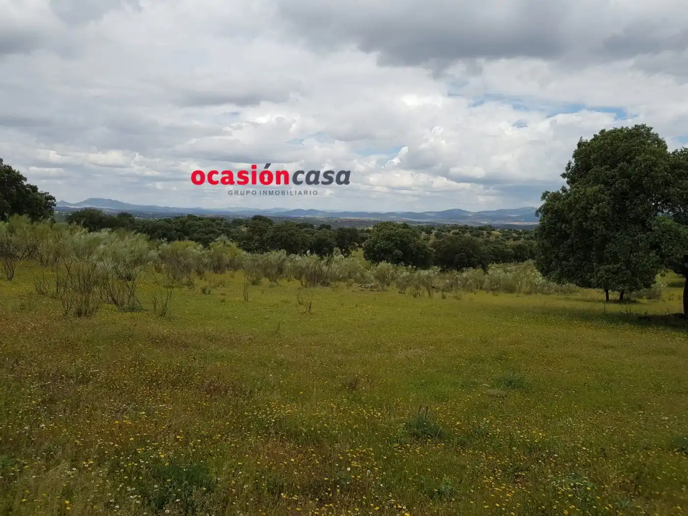 Finca rústica en venta en Torrecampo