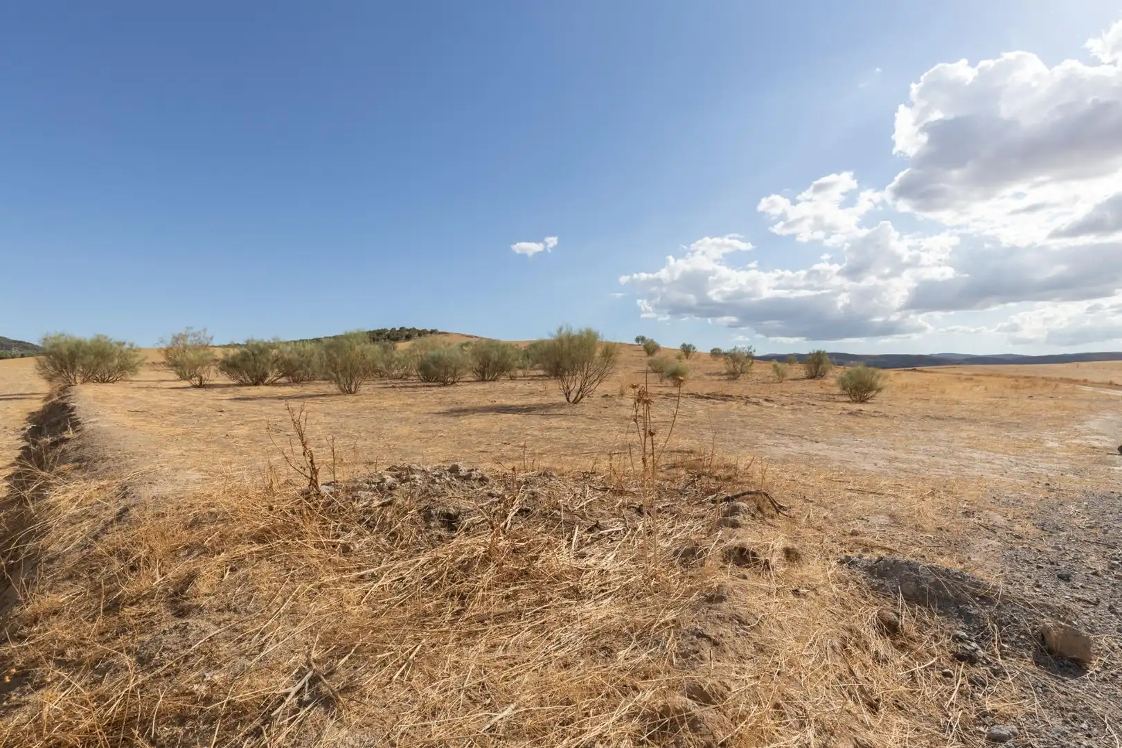 Lands and plots for sale in Polígono Polígono 6 Parcela 17 CAÑADA ESPARRAGAL. VILLA D 6, imagen 27