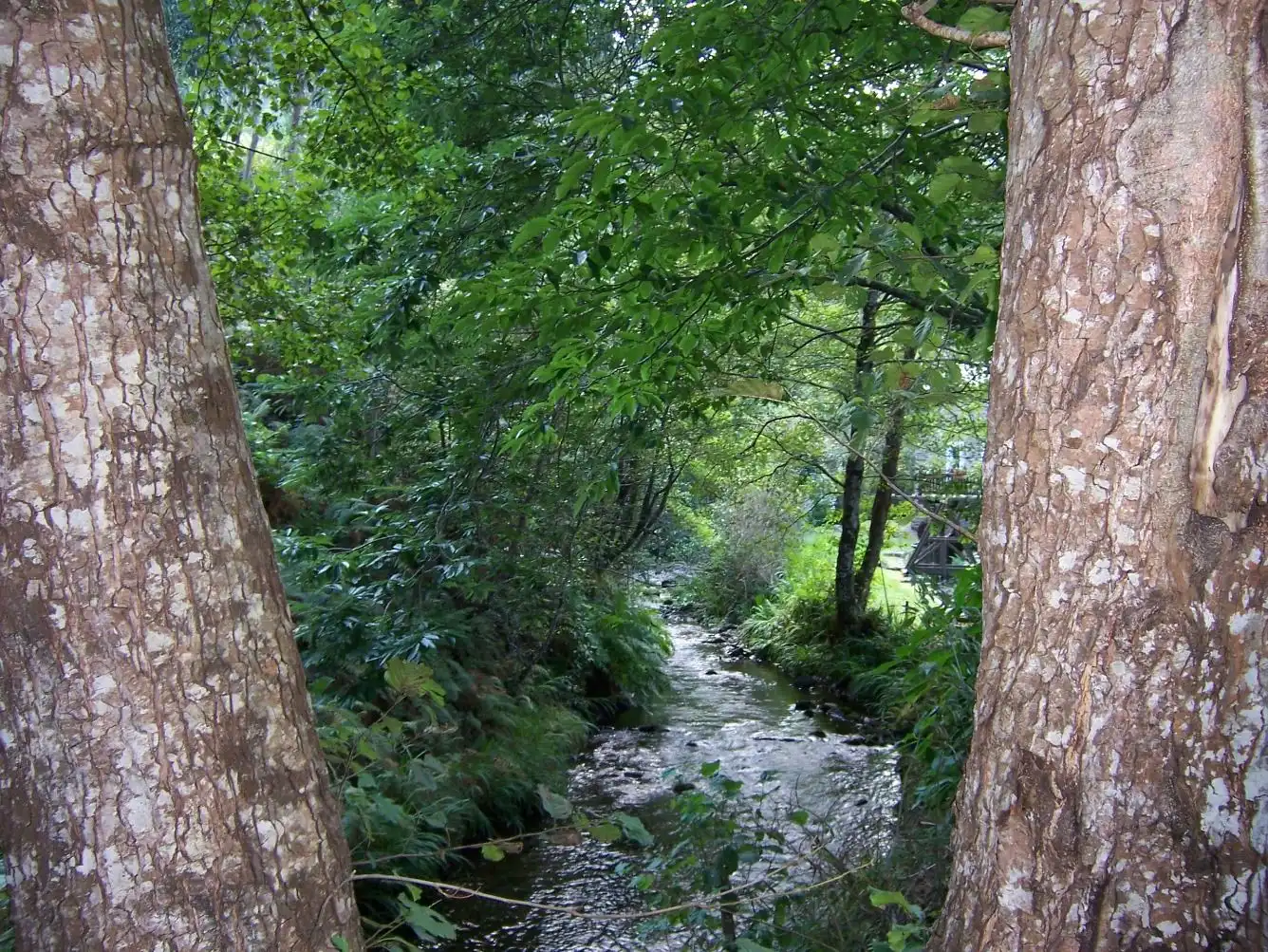 Terreni e lotti in vendita a Aldea o Lourido 6, imagen 5