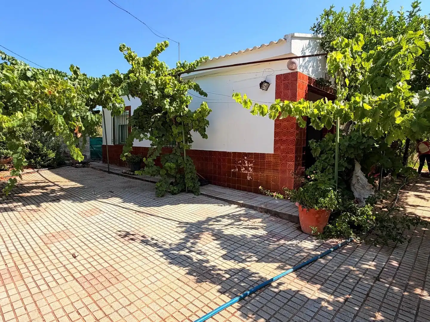 Vista exterior de Casa o chalet en venta en Valverde de Mérida con Jardín privado, Terraza y Trastero