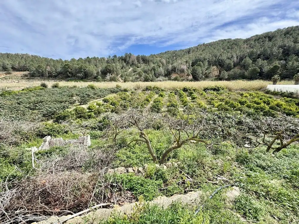 Country homes for sale in Altea la Vella