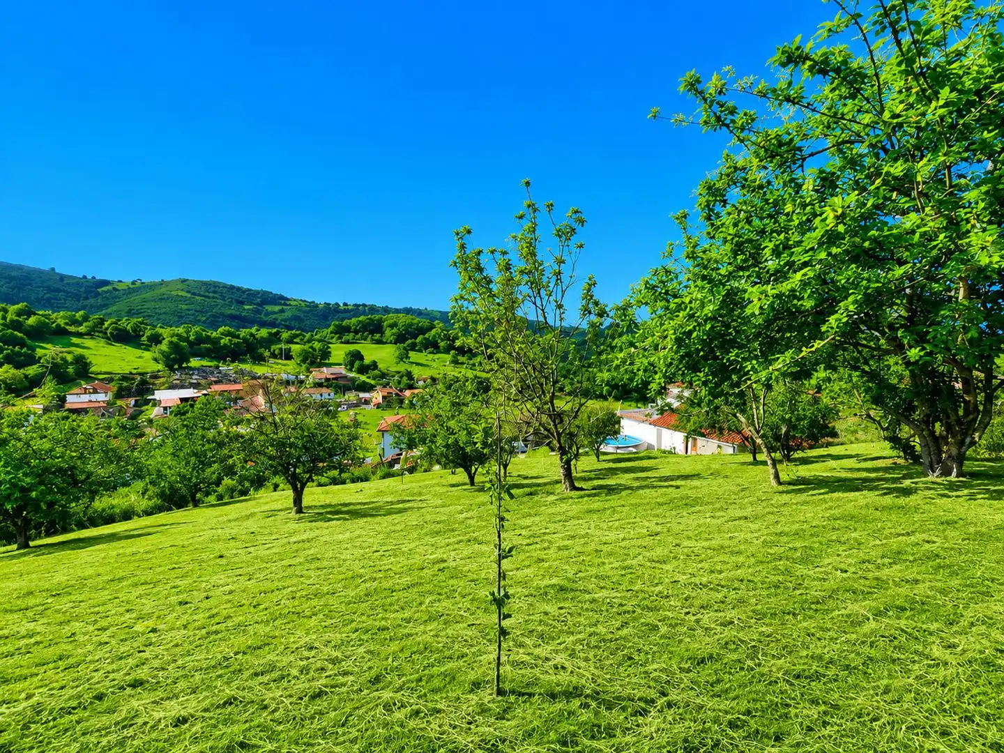Residential land for sale in Grado, imagen 4