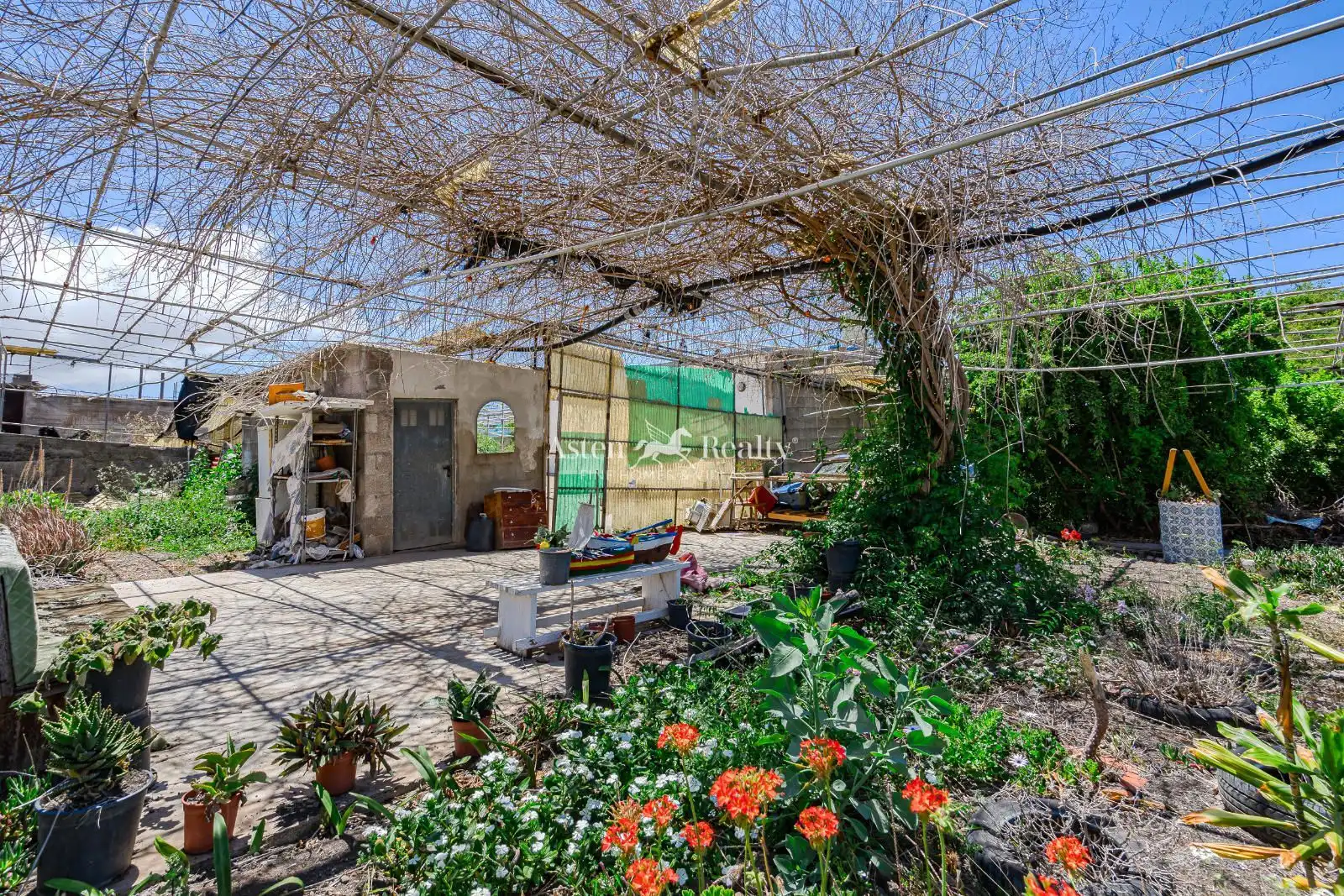 Casa o xalet en venda a TF-13, Tejina