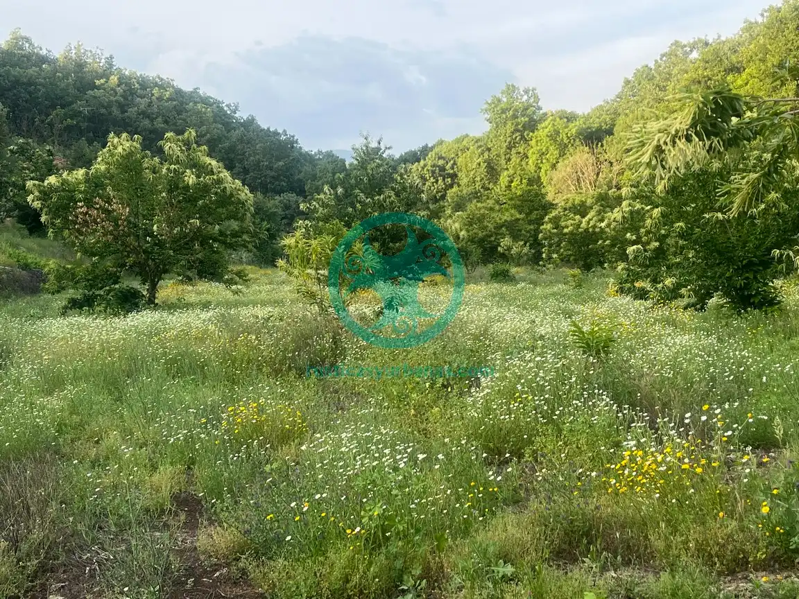 Terreni e lotti in vendita a Garganta la Olla, imagen 13