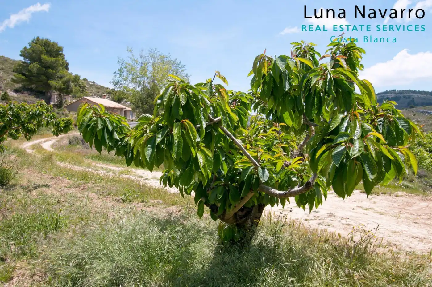 Finca rústica en venta en confrides, Confrides