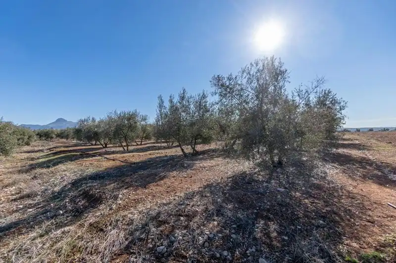 Terreni e lotti in vendita a Cogollos de la Vega, imagen 40