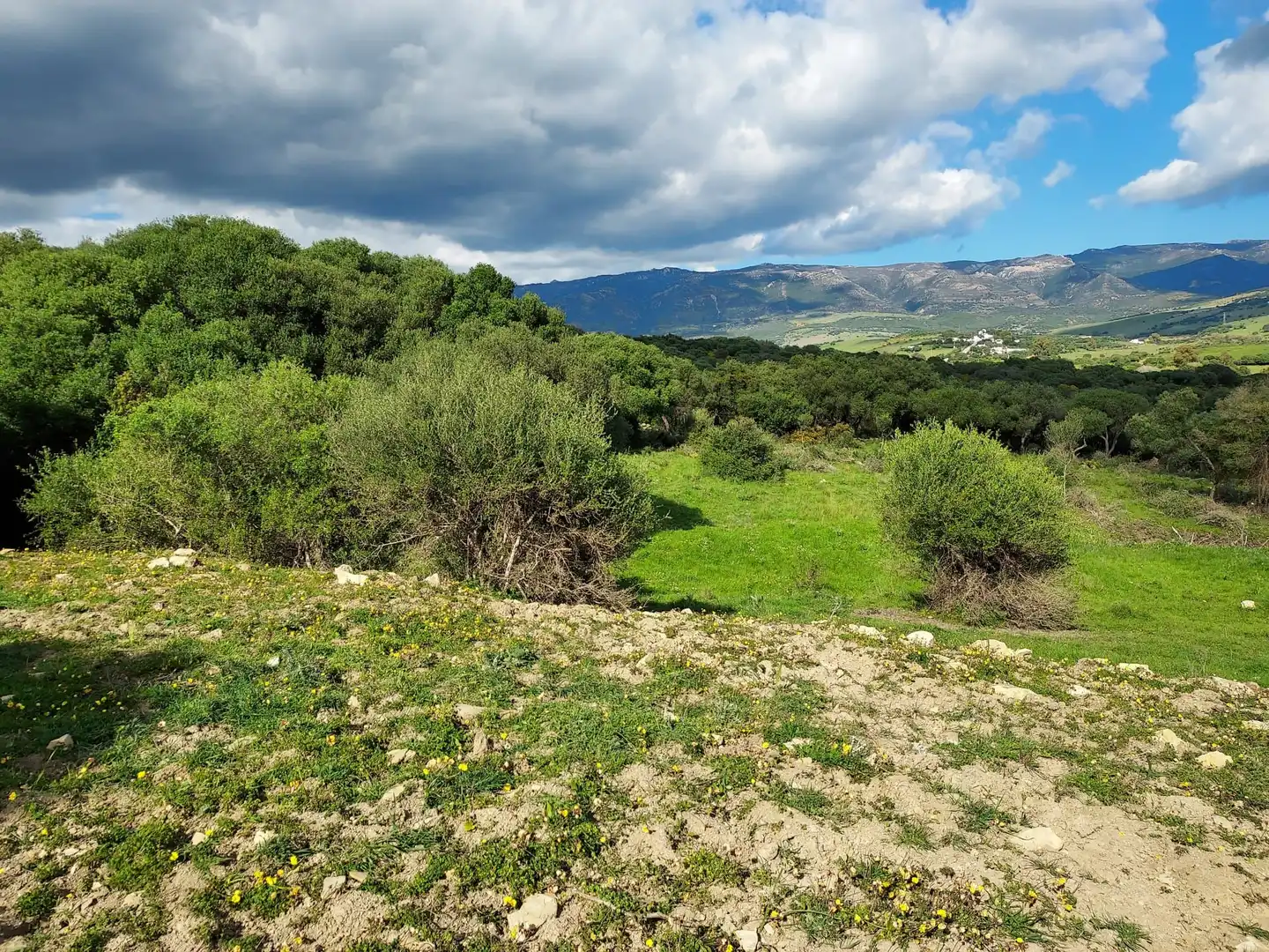 Terreni e lotti in vendita a Tarifa ciudad, imagen 15