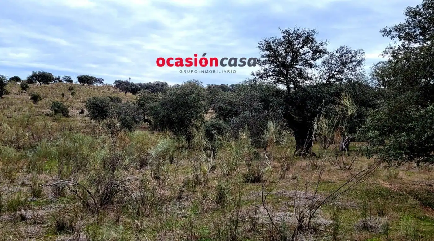 Finca rústica en venta en Torrecampo
