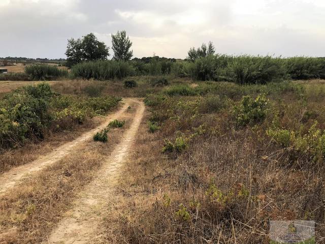 Terreno residencial en Alquiler en Bollullos Par del Condado
