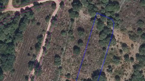 Finca de secano
