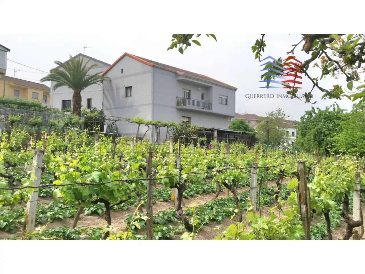 Garden of Houses for sale in Ourense Capital   with Heating, Private garden and Terrace