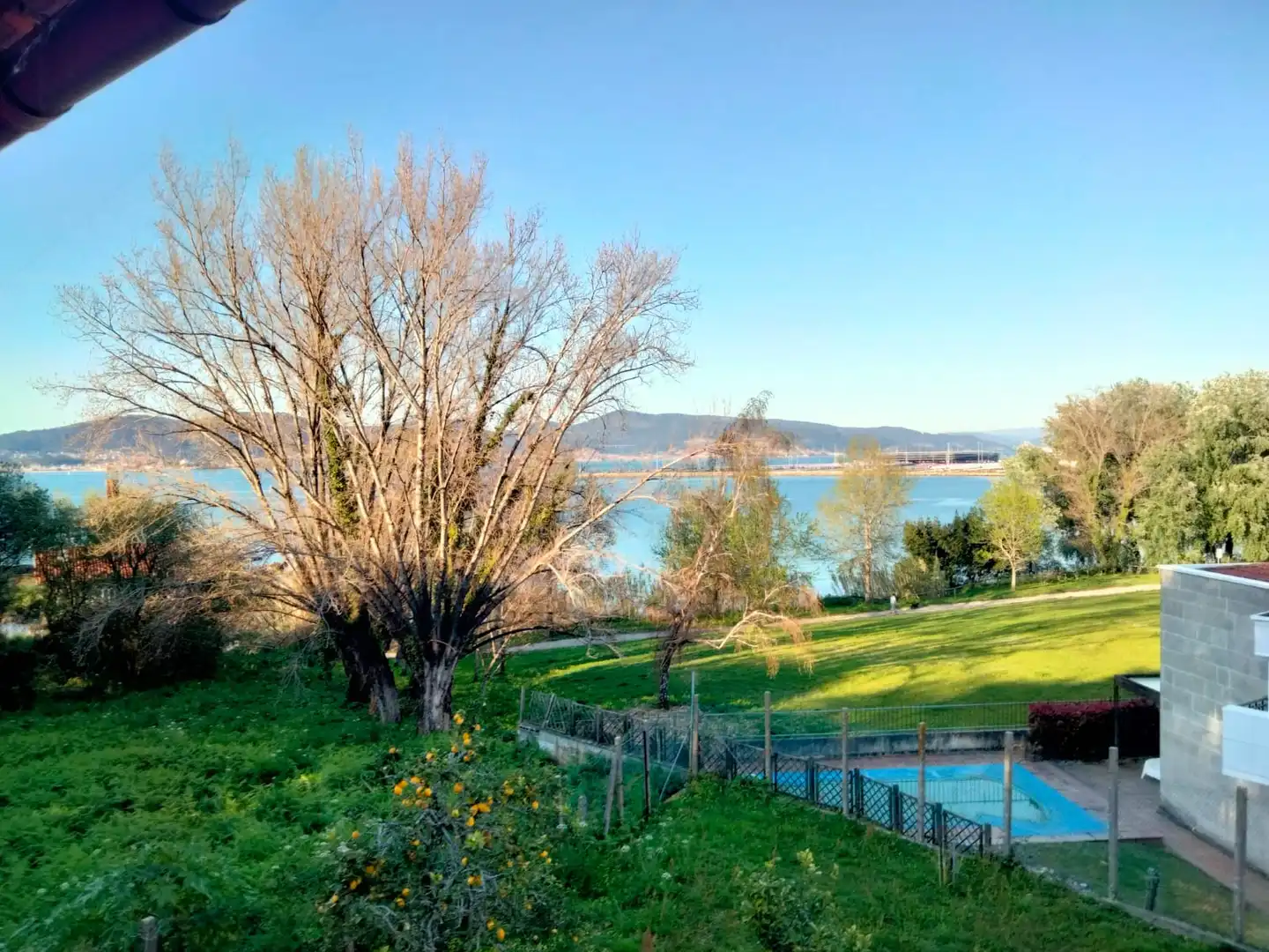 Jardín de Casa o chalet en venta en Vigo 