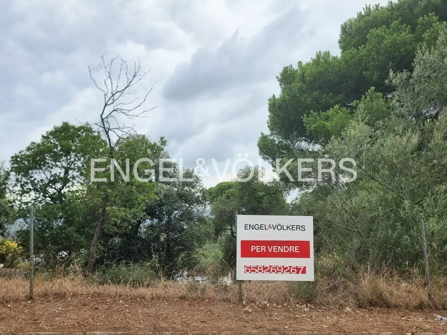 Terreno residencial en venta en Mas Mora - Sant Daniel, imagen 5