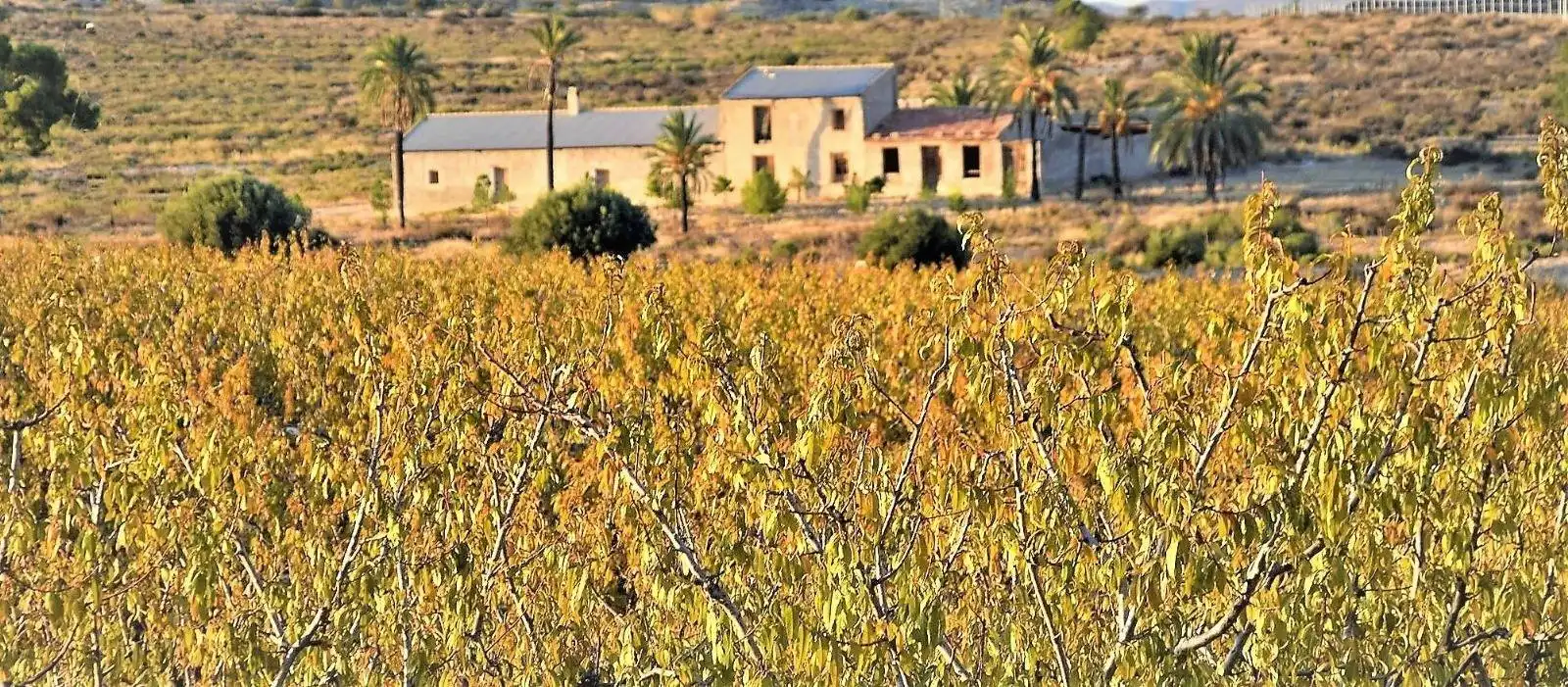 Grundstücke und Bauplätze zum Verkauf in Las Torres de Cotillas, imagen 2