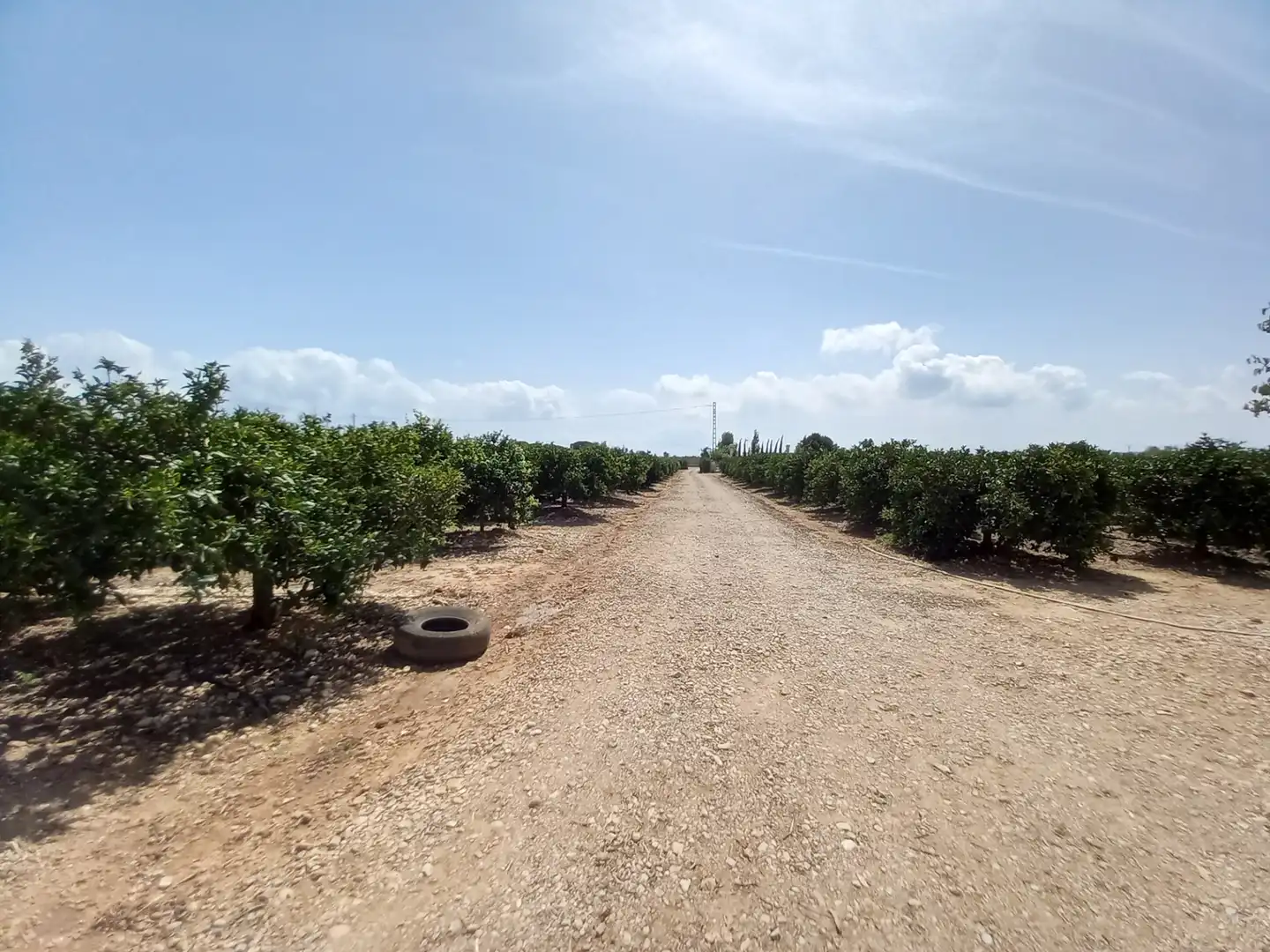 Terreno rustico in vendita a Costa Norte, imagen 45