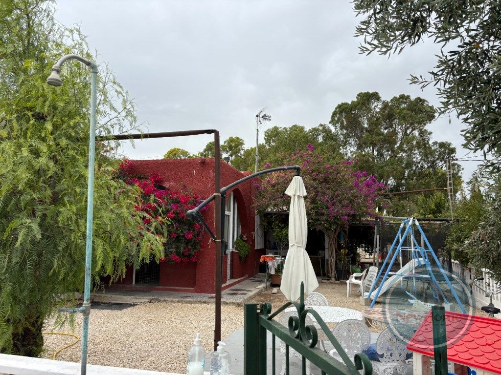 Jardí de Casa o xalet en venda en Elche / Elx amb Jardí privat, Terrassa i Piscina