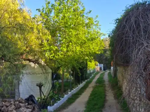 Chalet con piscina en venta en Carrer Dos de Maig 1, imagen 16