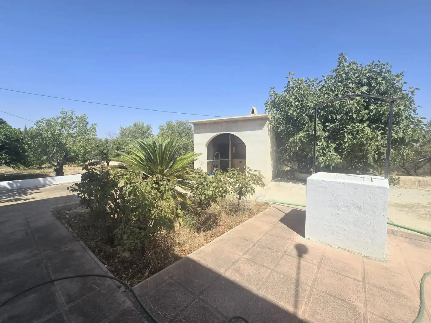 Garden of Houses for sale in Aspe