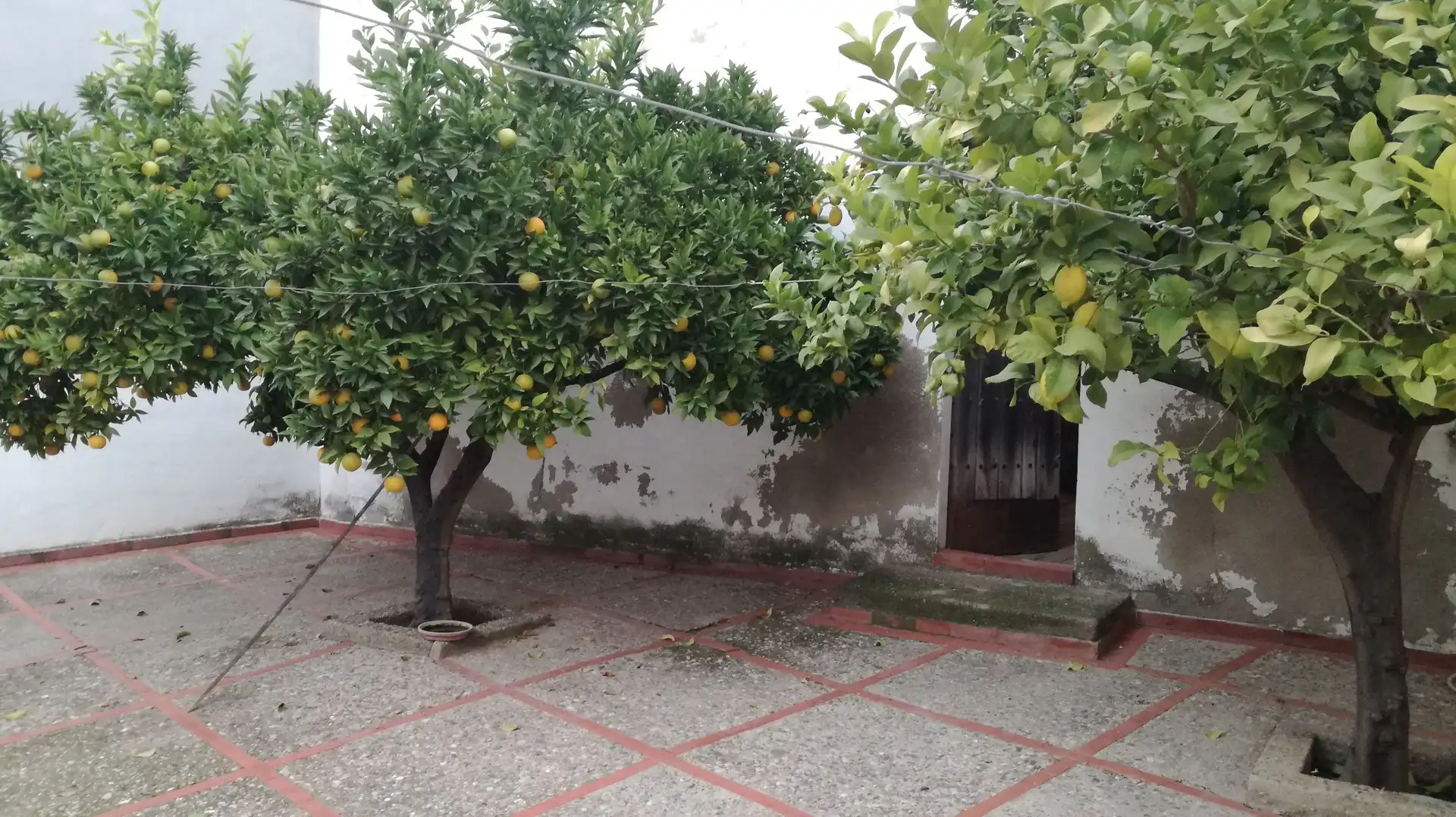Casa amb terrassa en venda a Bujalance, imagen 2