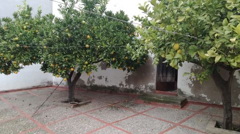 Foto 2 de Casa o chalet en venta en Bujalance, Córdoba