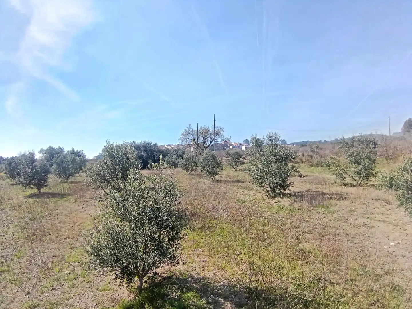 Terrain rustique à vendre à La Selva del Camp, imagen 11