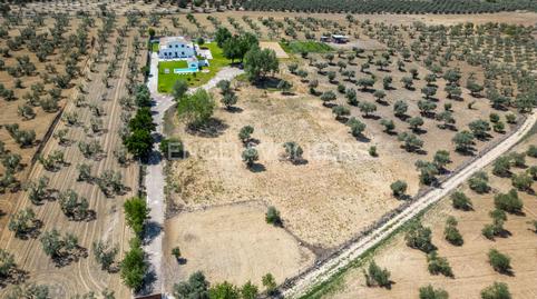 Photo 5 of Country house for sale in Colegio Europa, Sevilla