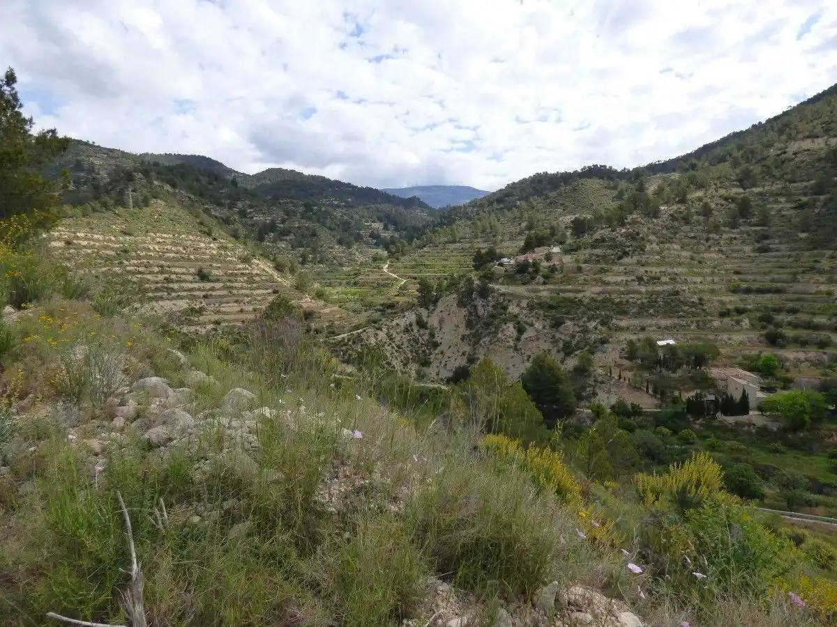 Terrenos y solares en venta en CV778, imagen 4