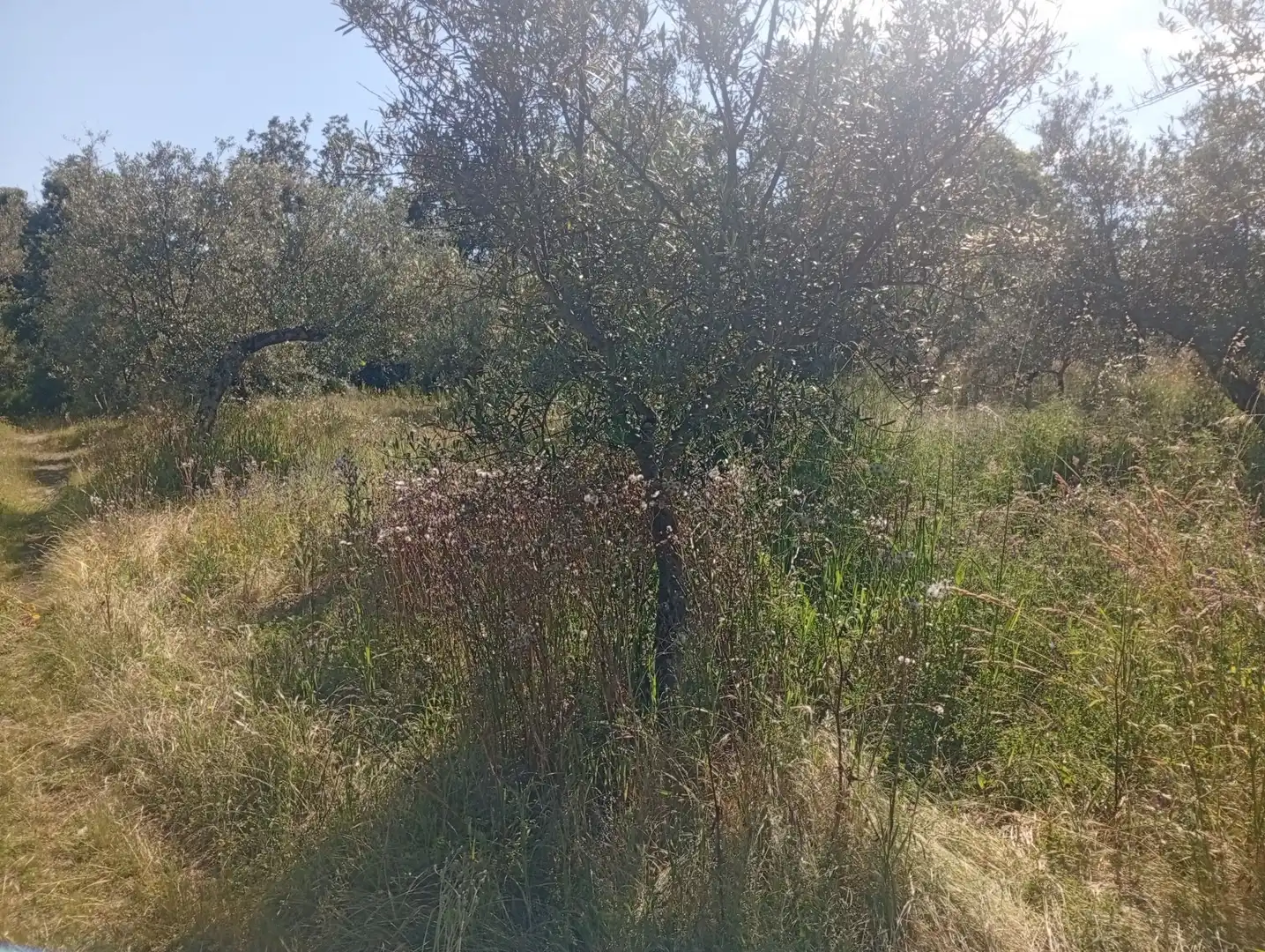 Maison à vendre à Villanueva de la Vera, imagen 38