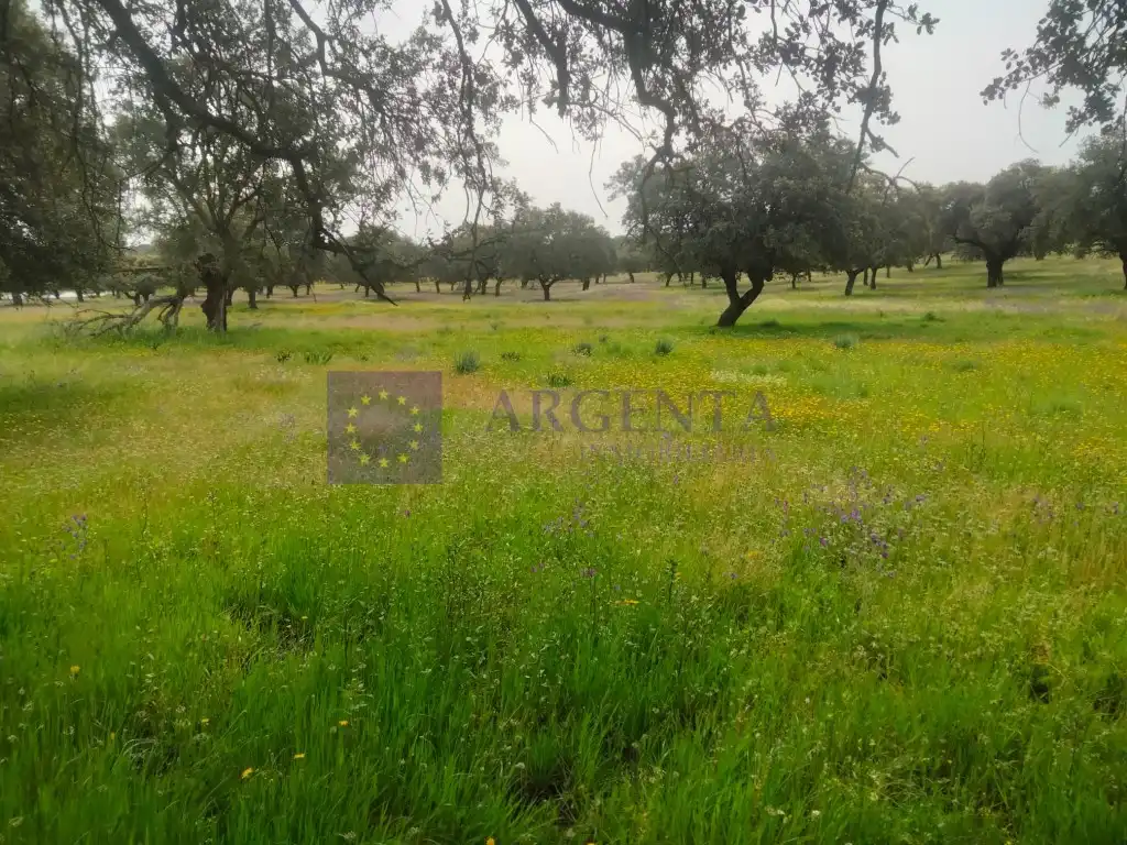 Casa o chalet en venta en Malpartida de Plasencia